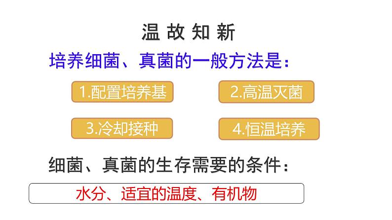 初中生物人教版八年级上册第五节 人类对细菌和真菌的利用 课件第2页