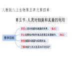 初中生物人教版八年级上册第五节 人类对细菌和真菌的利用 课件