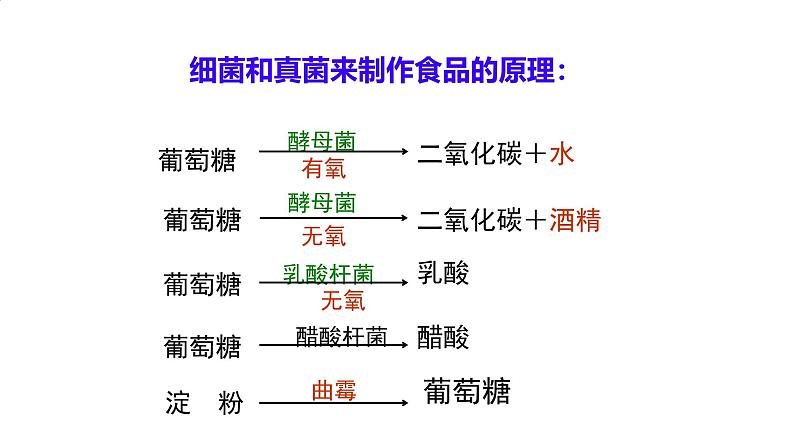 初中生物人教版八年级上册第五节 人类对细菌和真菌的利用 课件第7页