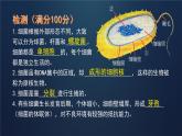 初中生物人教版八年级上册第三节 真菌 课件