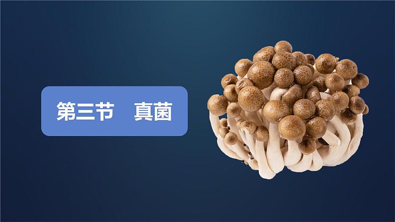 初中生物人教版八年级上册第三节 真菌 课件03