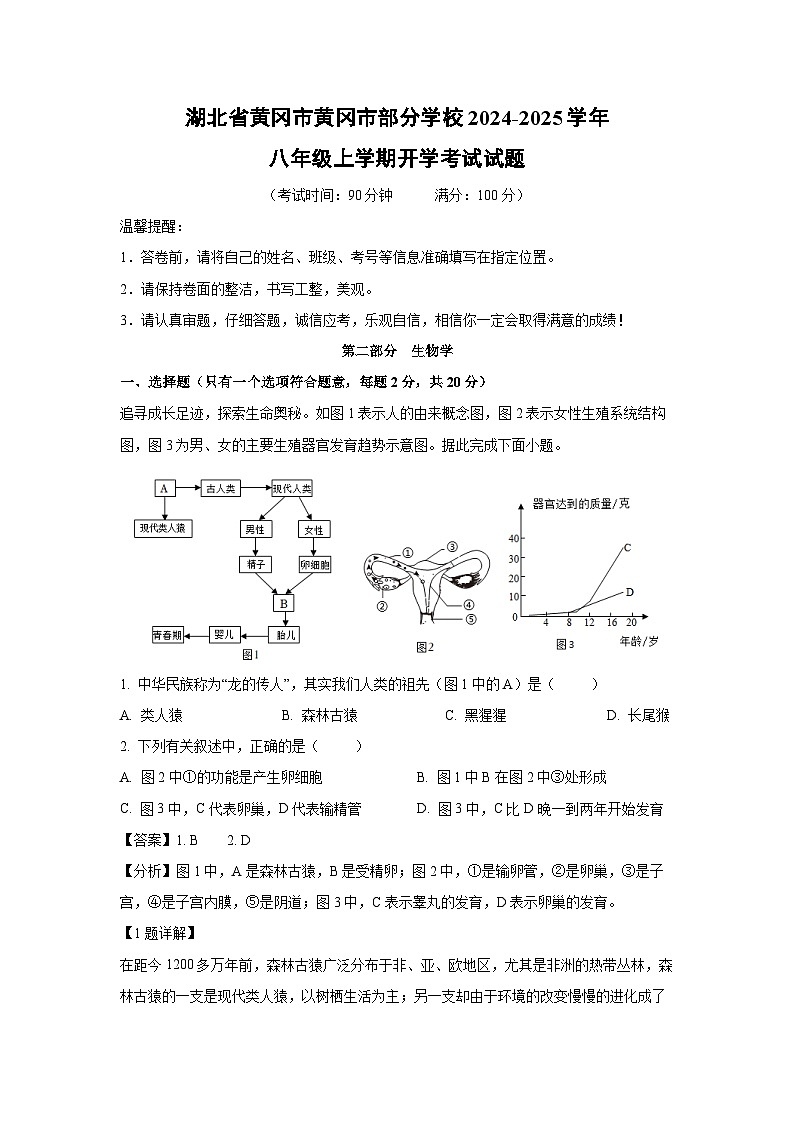 [生物]湖北省黄冈市黄冈市部分学校2024-2025学年八年级上学期开学考试试题(解析版)第1页