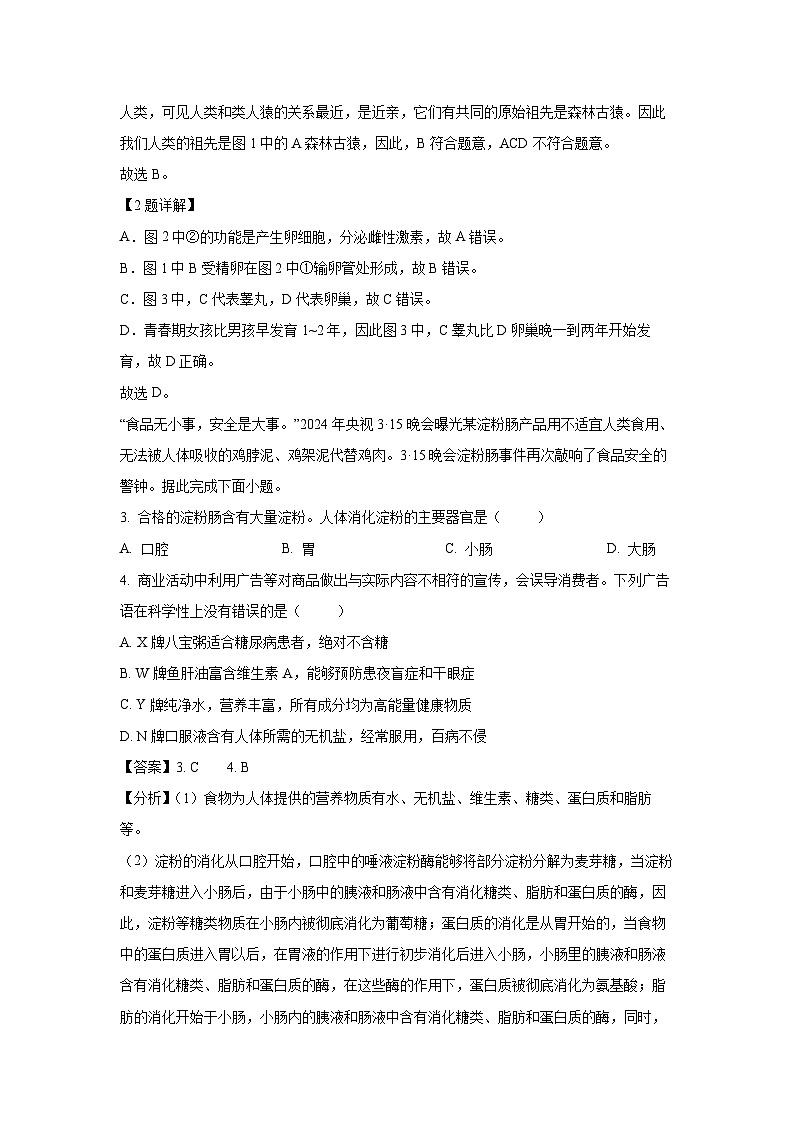 [生物]湖北省黄冈市黄冈市部分学校2024-2025学年八年级上学期开学考试试题(解析版)第2页