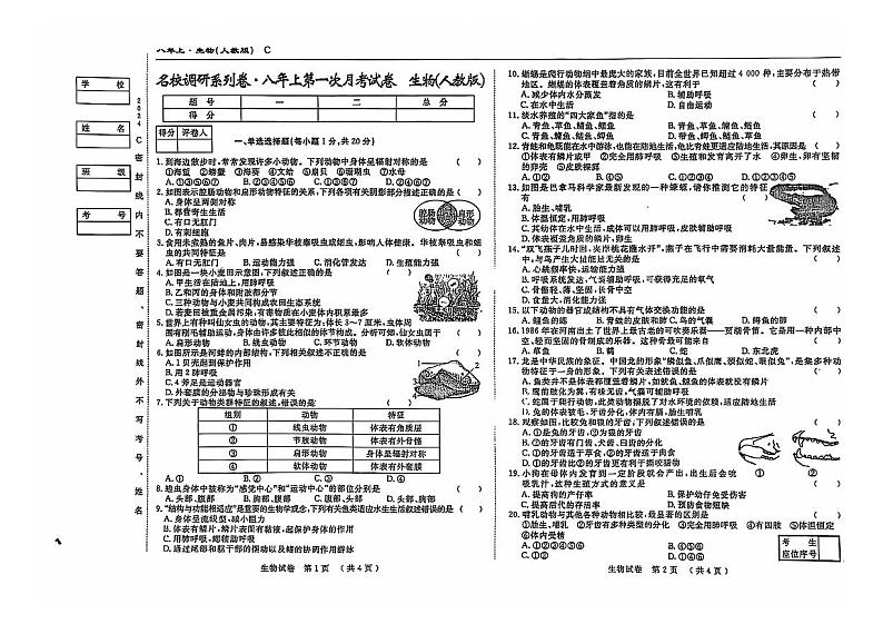 吉林省松原市乾安县名校调研2024—2025学年八年级上册第一次月考生物试卷+第1页