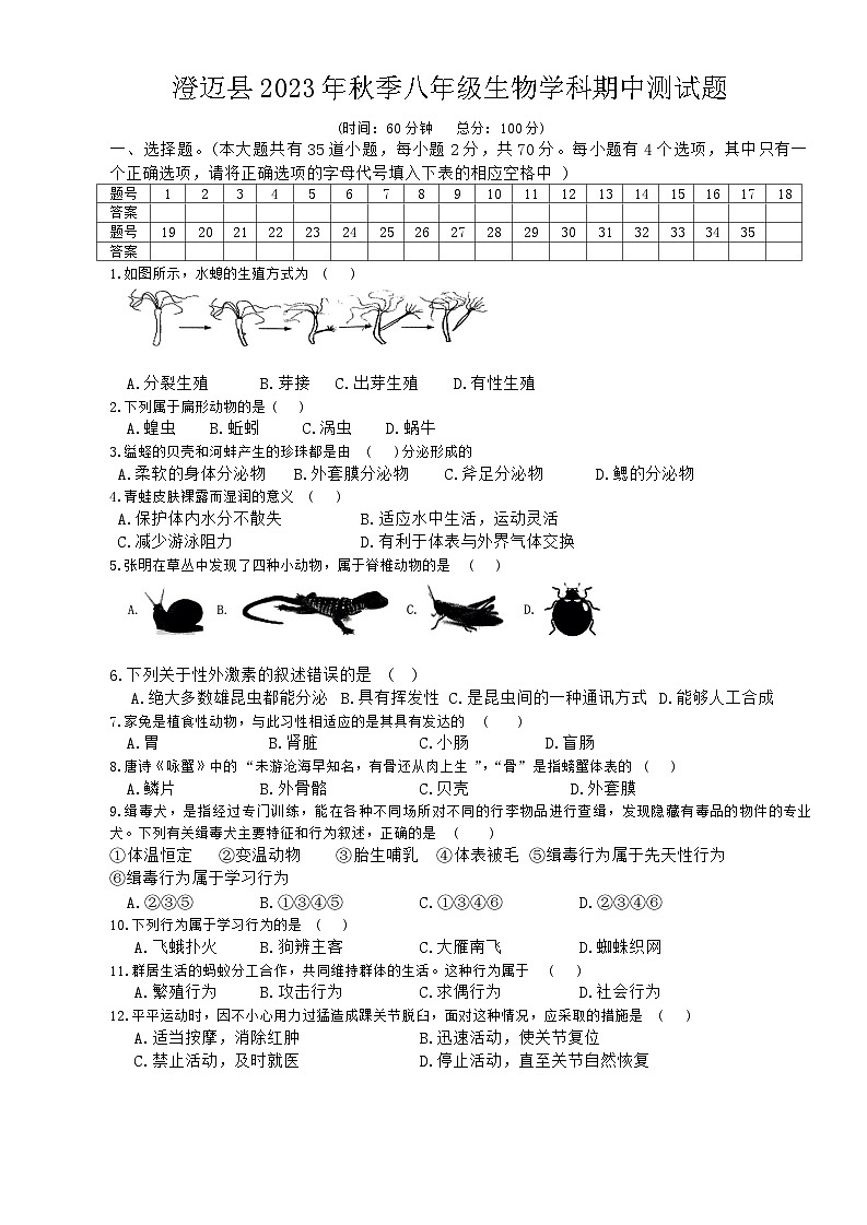海南省澄迈县2023-2024学年八年级上学期期中检测生物试题01