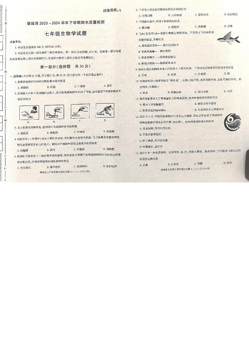 陕西省渭南市蒲城县2023-2024学年七年级下学期期末质量检测生物试题+第1页