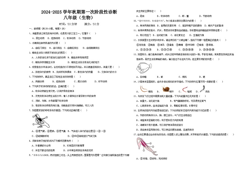 河南省郑州陈中实验学校2024--2025学年八年级上学期第一次月考 生物试卷01