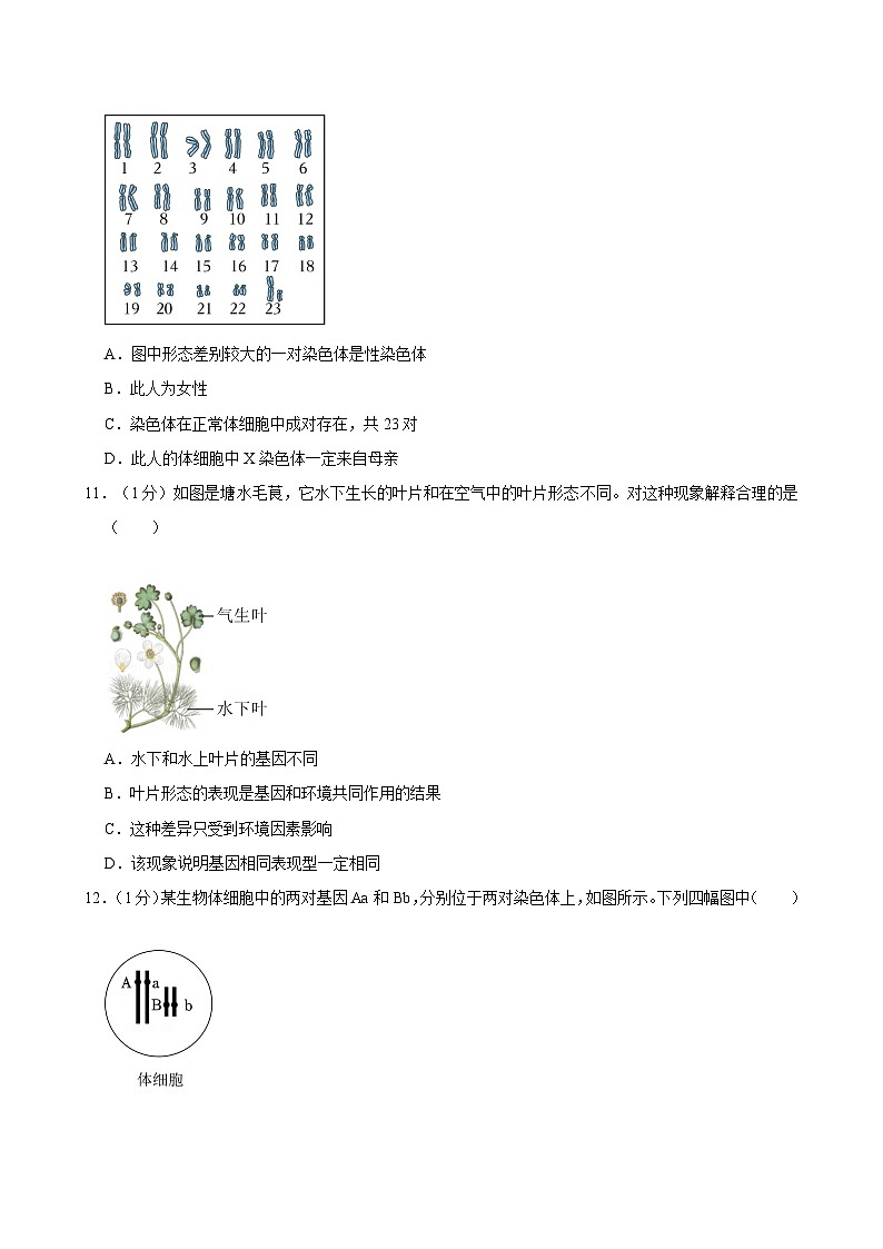 广东省深圳市龙岗区多校联考2023-2024学年八年级下学期期中生物试卷第3页