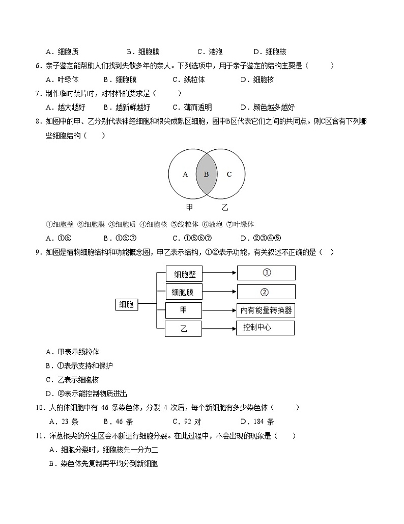 初中生物七年级上册第一次月考卷（冀少版2024，1~2章）-含答案解析02