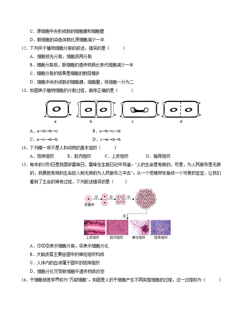 初中生物七年级上册第一次月考卷（冀少版2024，1~2章）-含答案解析03
