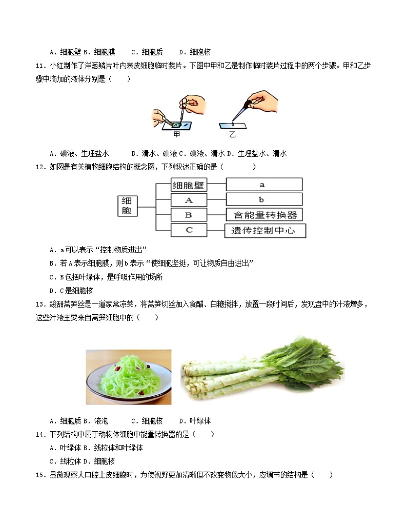 初中生物七年级上册第一次月考卷（苏教版2024，第一章和第二章第一节）-含答案解析03