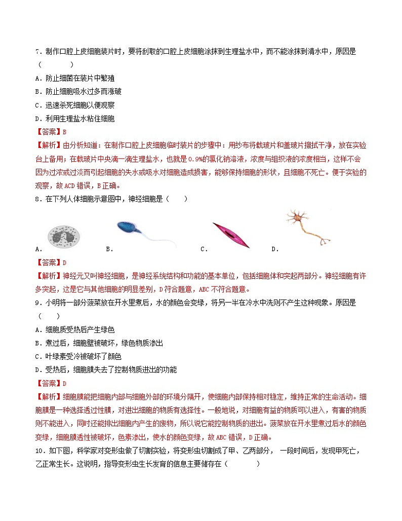 初中生物七年级上册第一次月考卷（苏教版2024，第一章和第二章第一节）-含答案解析03