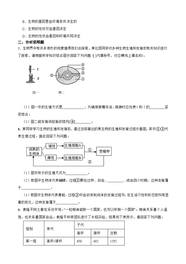 四川省泸州市合江县2023-2024学年八年级下学期期中考试生物试题02
