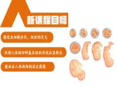 【核心素养】人教版生物七年级上册 1.3.2 动物体的结构层次（教学课件+教学设计+同步练习）