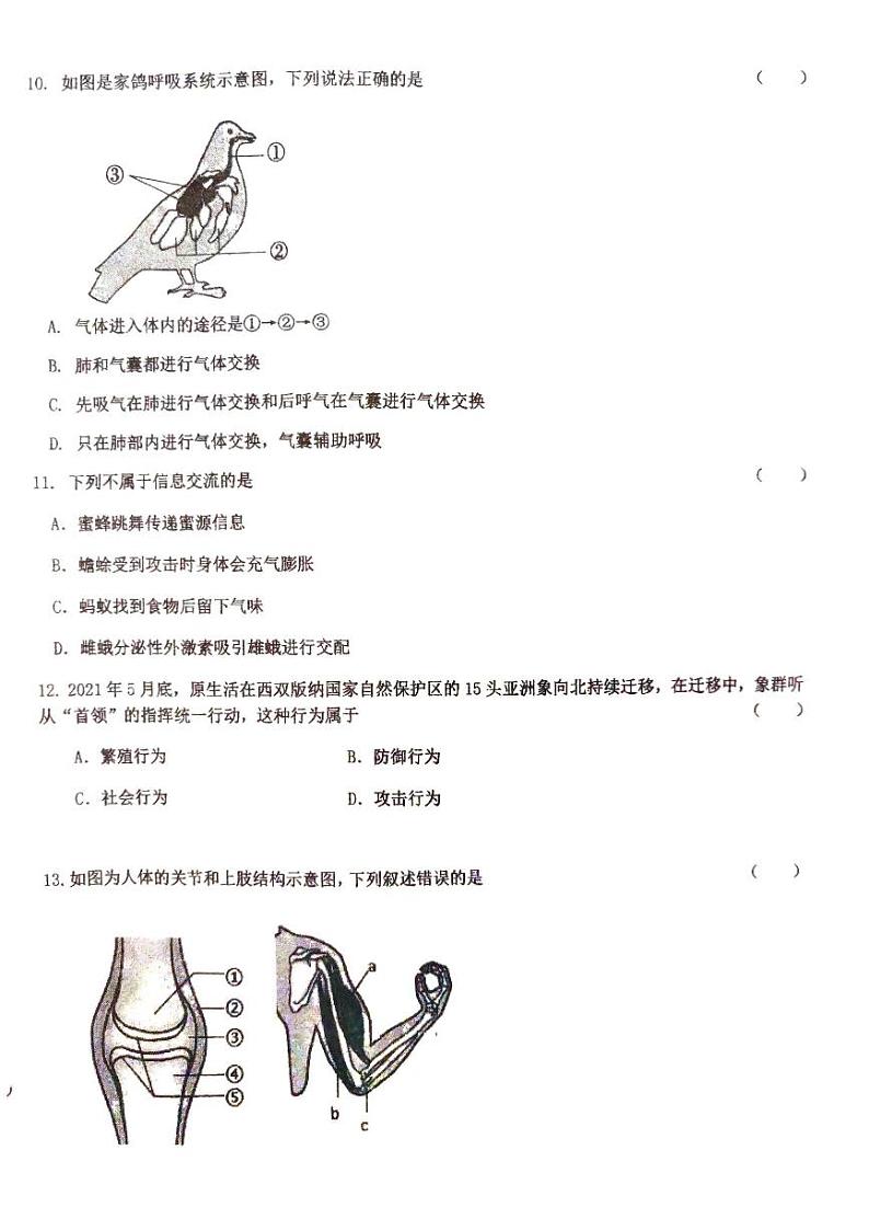 吉林省长春市第八十九中学2024-2025学年八年级上学期9月月考生物试题02