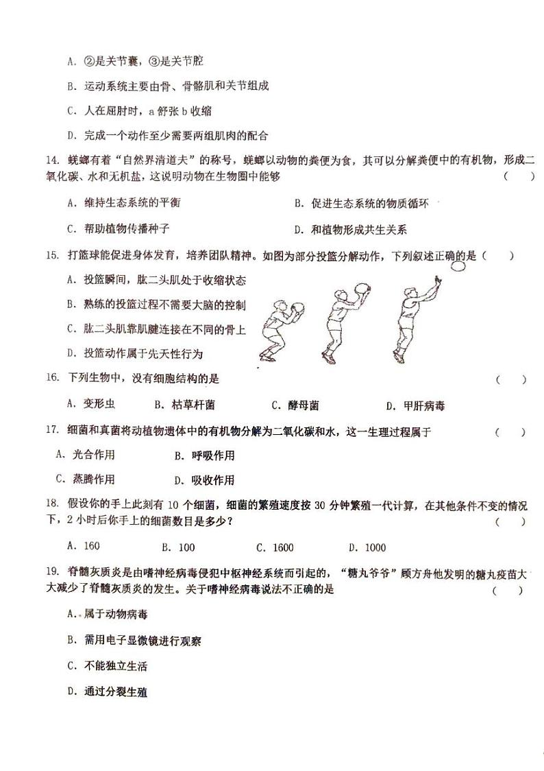 吉林省长春市第八十九中学2024-2025学年八年级上学期9月月考生物试题03