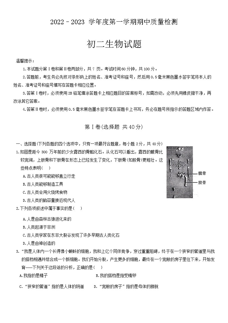 山东省济宁市任城区2022-2023学年七年级上学期期中质量检测生物试题01