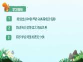 初中生物人教版八年级上册第二节 从种到界 课件