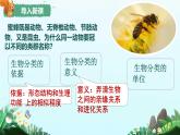 初中生物人教版八年级上册第二节 从种到界 课件