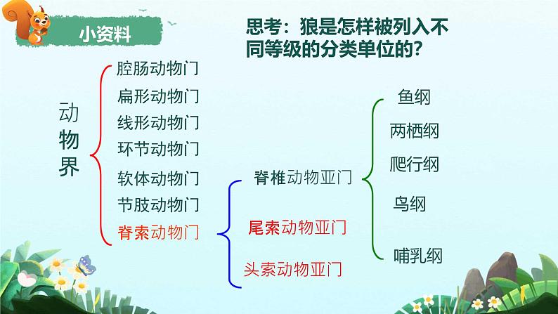 初中生物人教版八年级上册第二节 从种到界 课件05