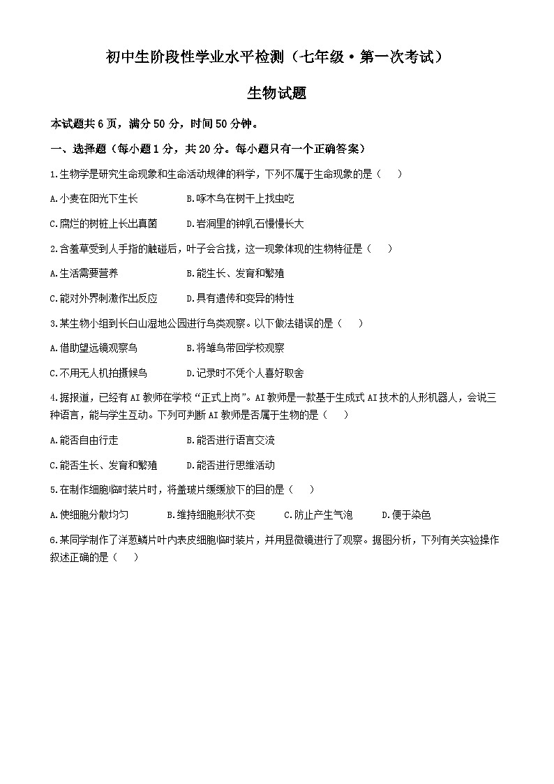 吉林省松原市前郭一中、前郭三中、前郭萨日朗学校2024—2025学年七年级上学期阶段性学业水平检测 第一次考试 生物试题01