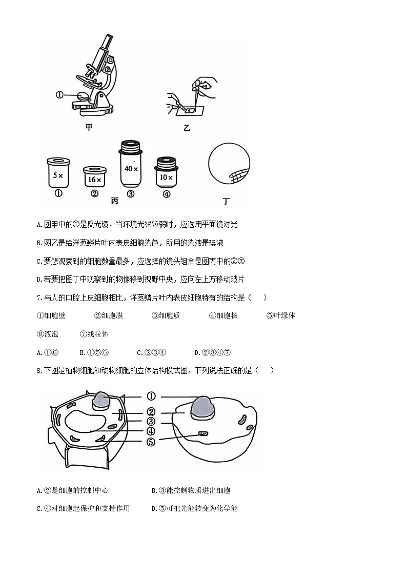 吉林省松原市前郭一中、前郭三中、前郭萨日朗学校2024—2025学年七年级上学期阶段性学业水平检测 第一次考试 生物试题02