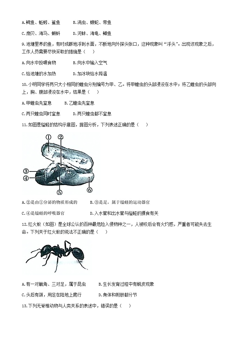 吉林省松原市前郭一中、前郭三中、前郭萨日朗学校2024—2025学年八年级上学期学业水平检 第一次考试 生物试题第2页