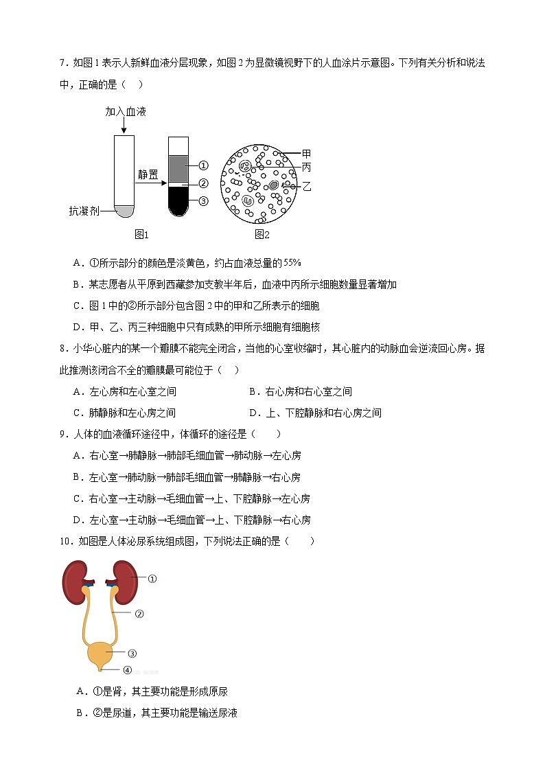 2024-2025学年八年级上册生物第15章《人体内平衡的维持》测试卷（苏科版）02
