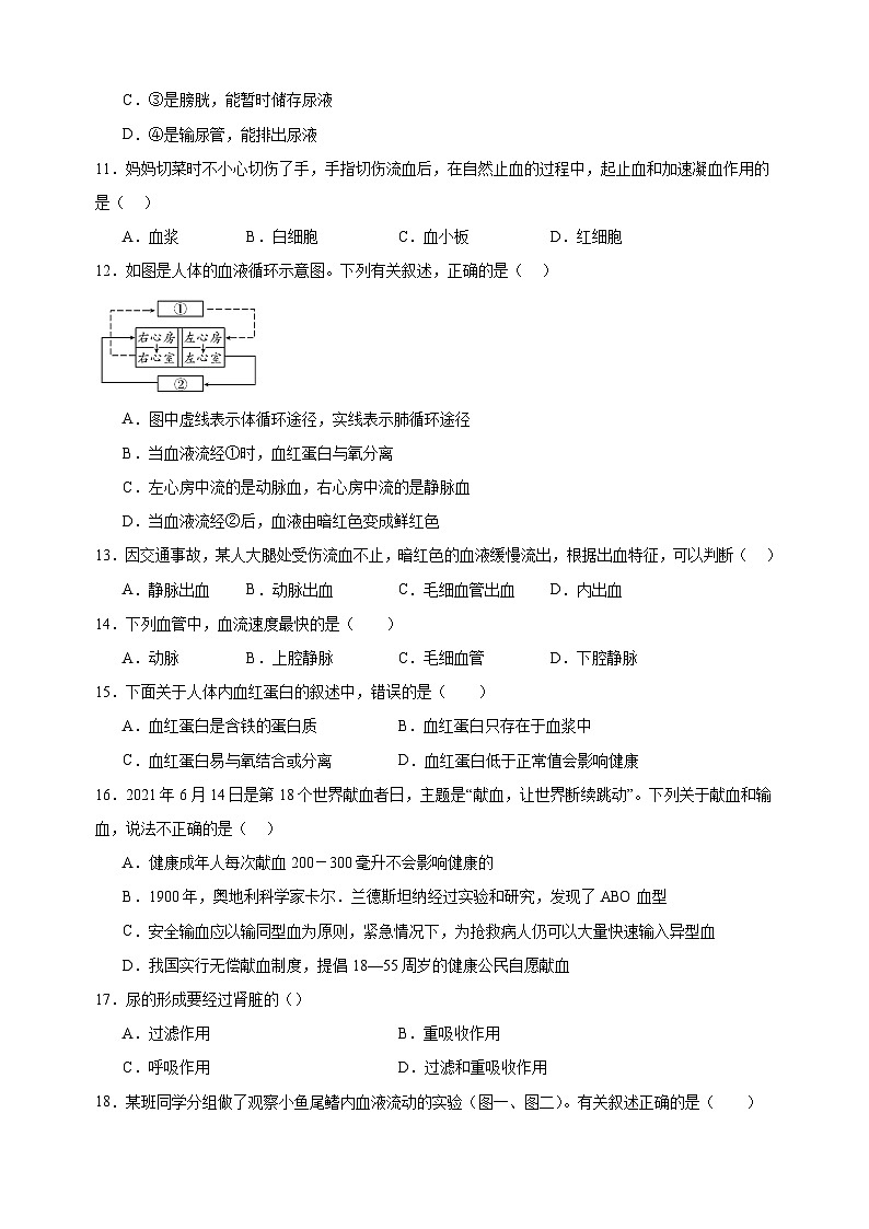 2024-2025学年八年级上册生物第15章《人体内平衡的维持》测试卷（苏科版）03