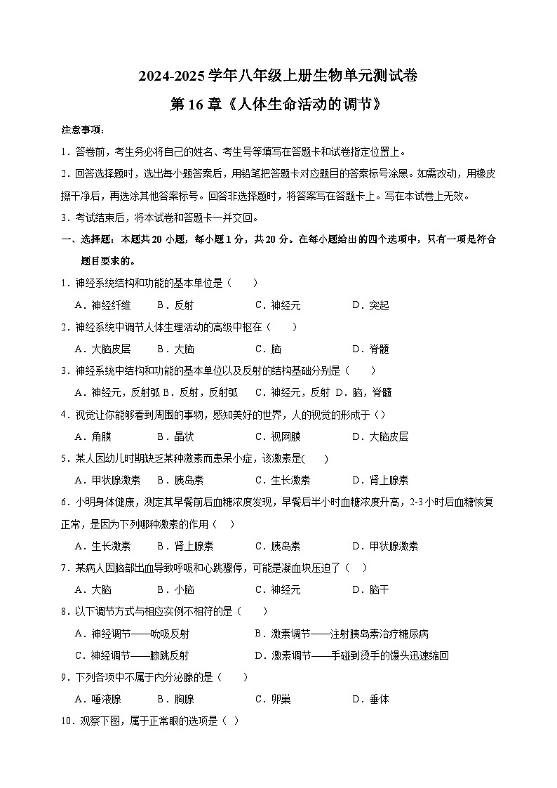 2024-2025学年八年级上册生物第16章《人体生命活动的调节》测试卷（苏科版）第1页