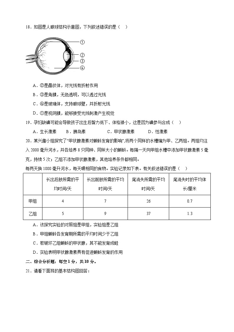 2024-2025学年八年级上册生物第16章《人体生命活动的调节》测试卷（苏科版）第3页