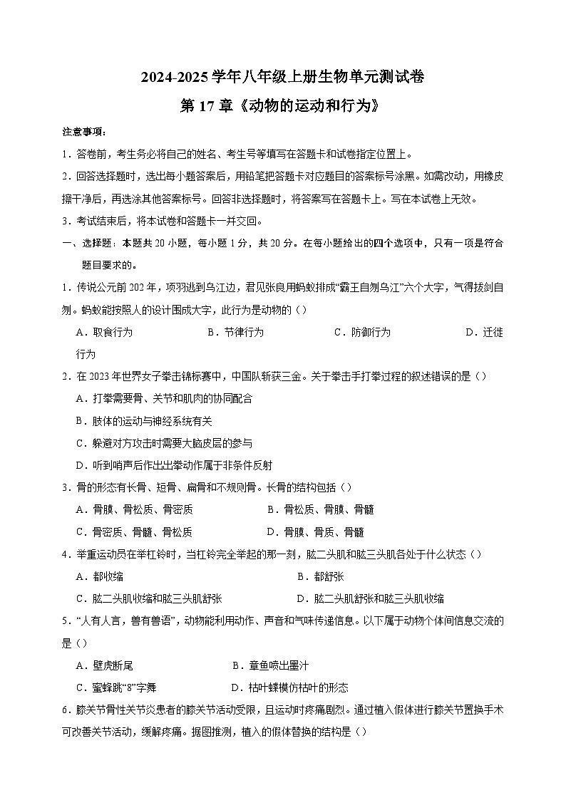 2024-2025学年八年级上册生物第17章《动物的运动和行为》测试卷（苏科版）第1页
