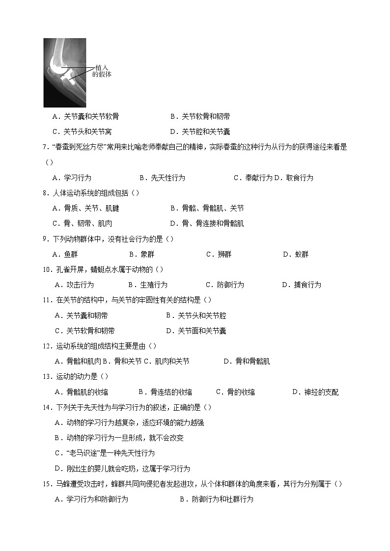 2024-2025学年八年级上册生物第17章《动物的运动和行为》测试卷（苏科版）第2页