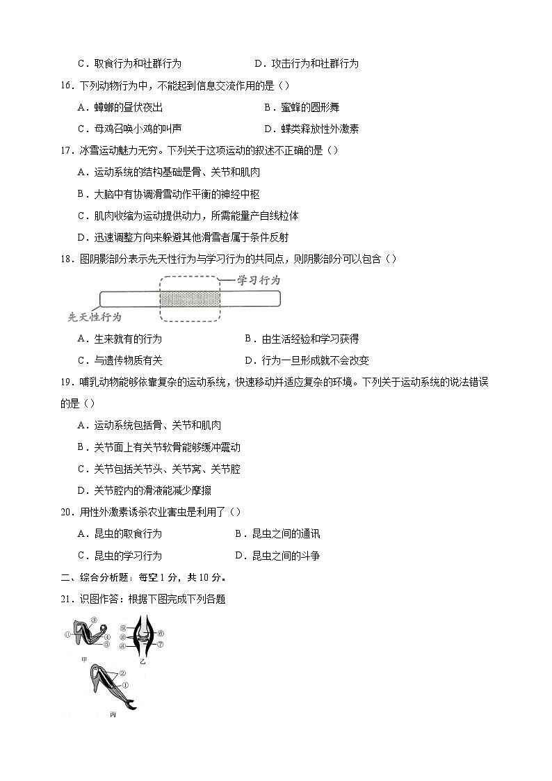 2024-2025学年八年级上册生物第17章《动物的运动和行为》测试卷（苏科版）第3页