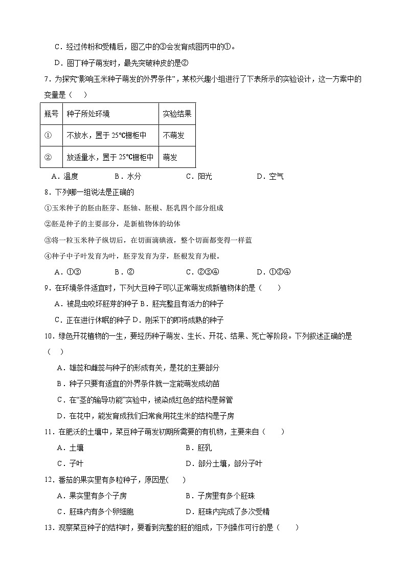 2024-2025学年八年级上册生物第19章《植物的生殖和发育》测试卷（苏科版）第2页