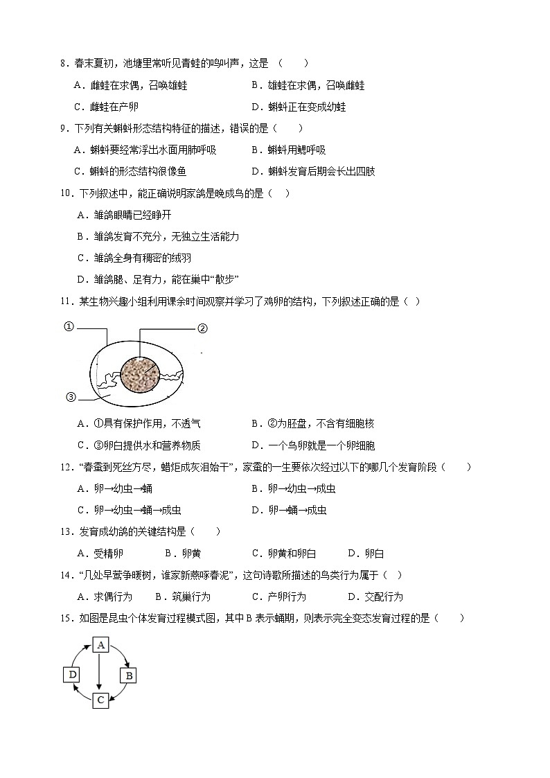 2024-2025学年八年级上册生物第20章《动物的生殖和发育》测试卷（苏科版）第2页