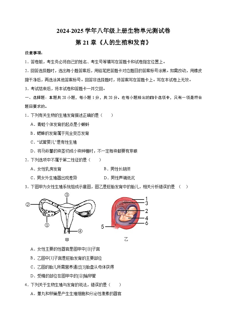 2024-2025学年八年级上册生物第21章《人的生殖和发育》测试卷（苏科版）第1页