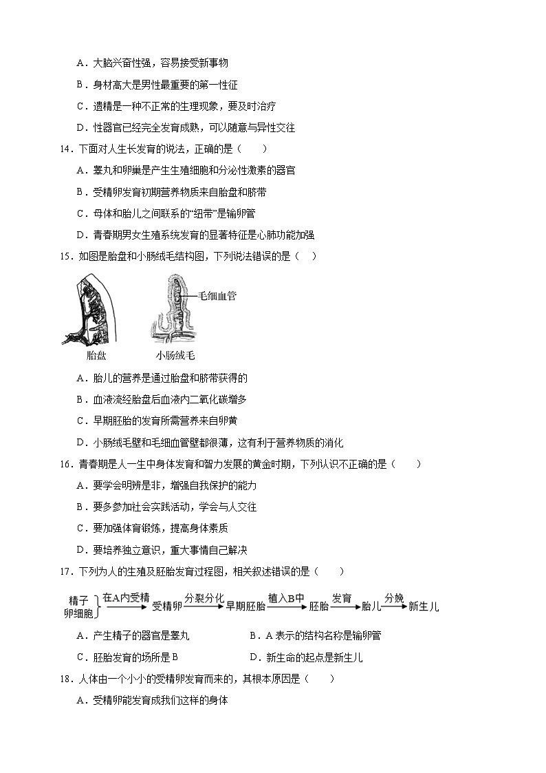 2024-2025学年八年级上册生物第21章《人的生殖和发育》测试卷（苏科版）第3页