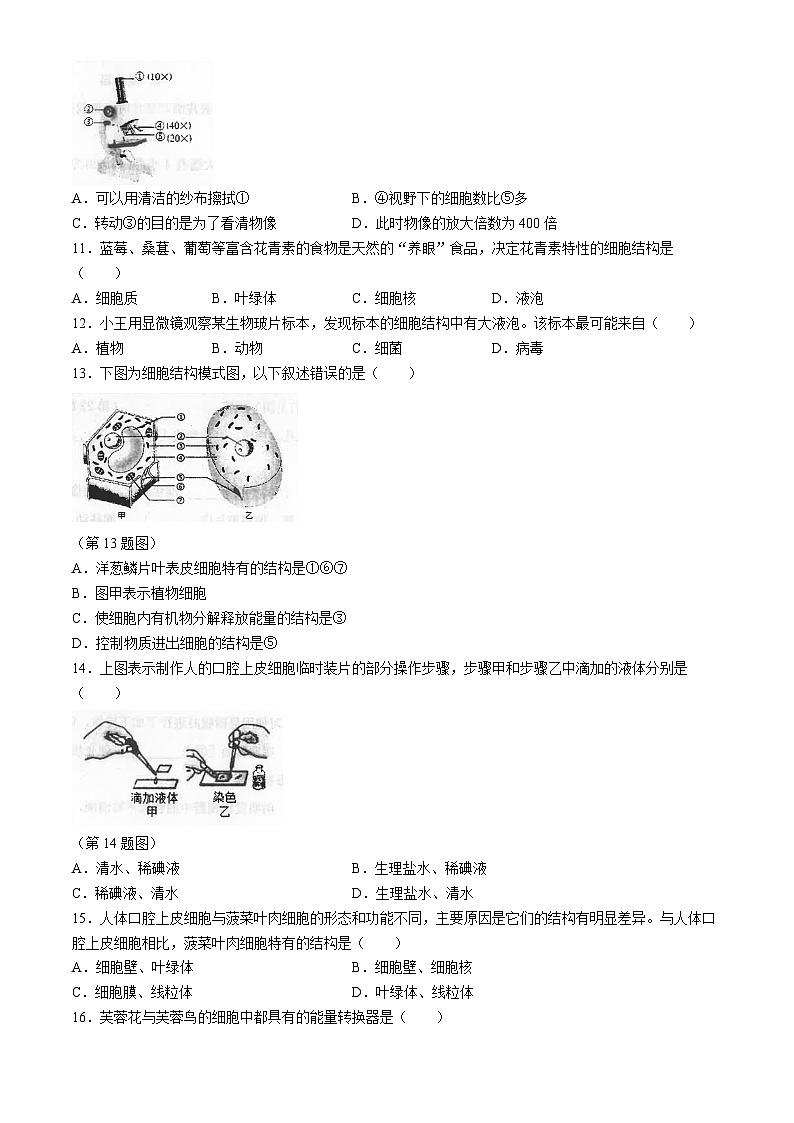 广东省汕头市潮南区陈店宏福外语学校2024-2025学年七年级上学期9月月考生物试题02