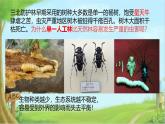 初中生物人教版八年级上册第二章 认识生物的多样性 课件