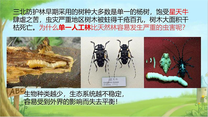 初中生物人教版八年级上册第二章 认识生物的多样性 课件03