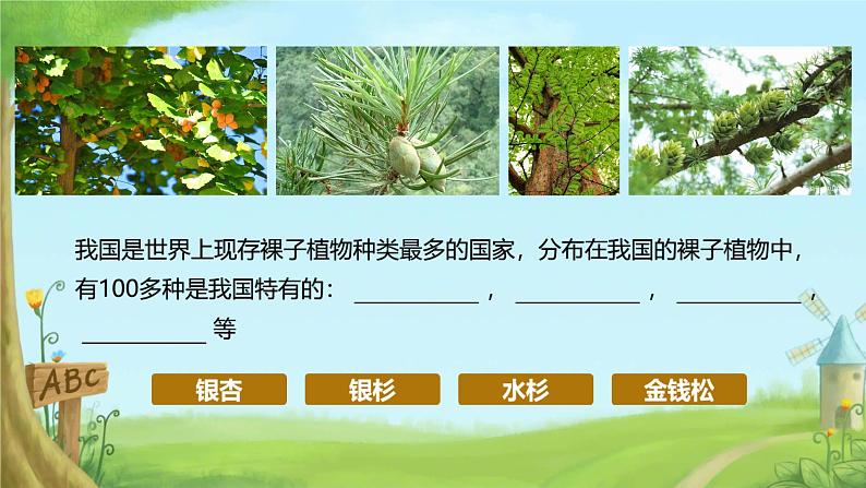 初中生物人教版八年级上册第二章 认识生物的多样性 课件07