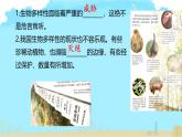 初中生物人教版八年级上册第三章 保护生物的多样性 课件