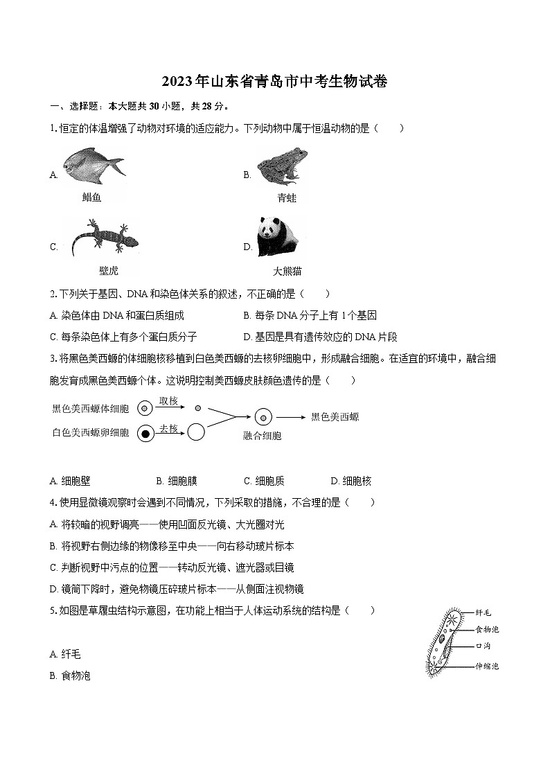 2023年山东省青岛市中考生物试题（含答案解析）01