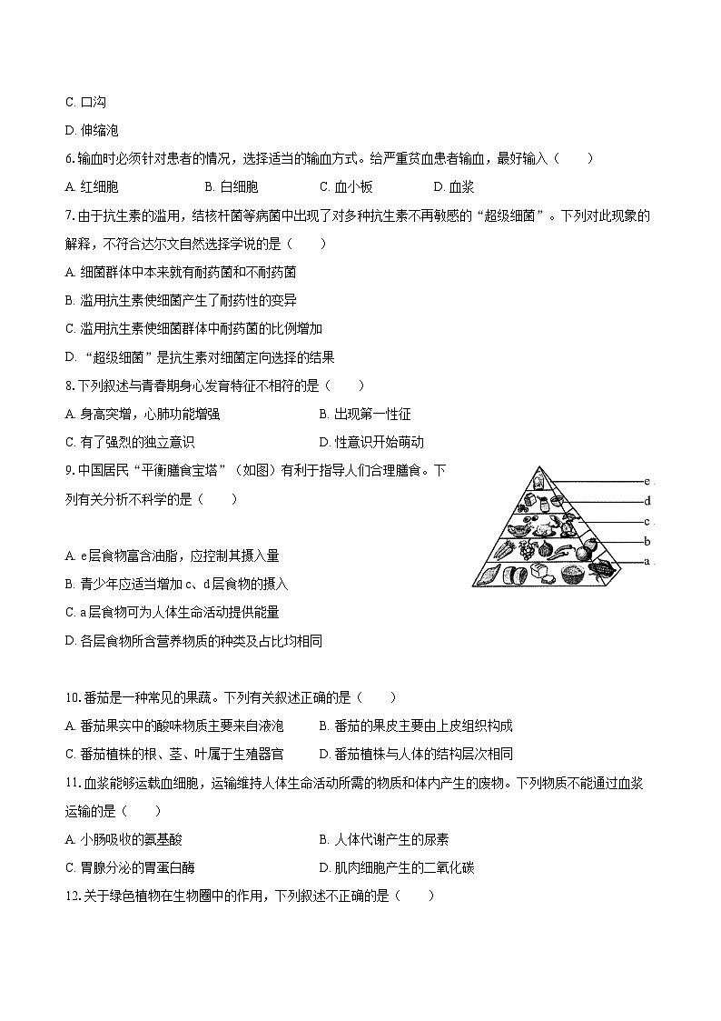 2023年山东省青岛市中考生物试题（含答案解析）02