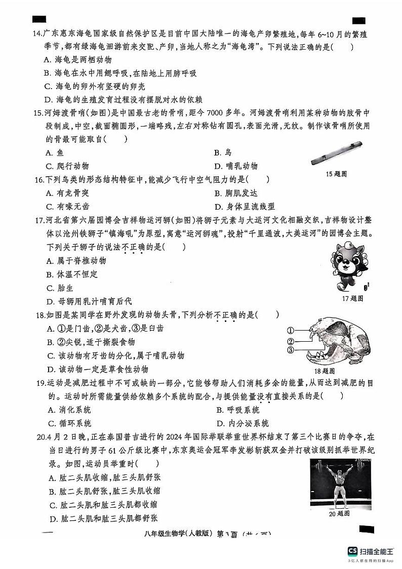河北省石家庄市赵县李春学校李春校区2024-2025学年八年级上学期9月月考生物试题03
