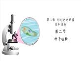 【新教材】苏教版生物七年级上册2.3.2种子植物 课件+导学案（含答案）