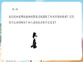 【新教材】苏教版生物七年级上册2.3.2种子植物 课件+导学案（含答案）