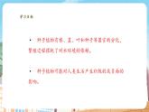 【新教材】苏教版生物七年级上册2.3.2种子植物 课件+导学案（含答案）