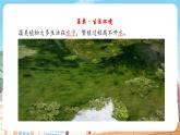 【新教材】苏教版生物七年级上册2.3.1 藻类和苔藓植物、蕨类植物 同步课件+同步学案（含答案）